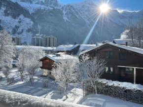 Apartament z widokiem na Mt Blanc